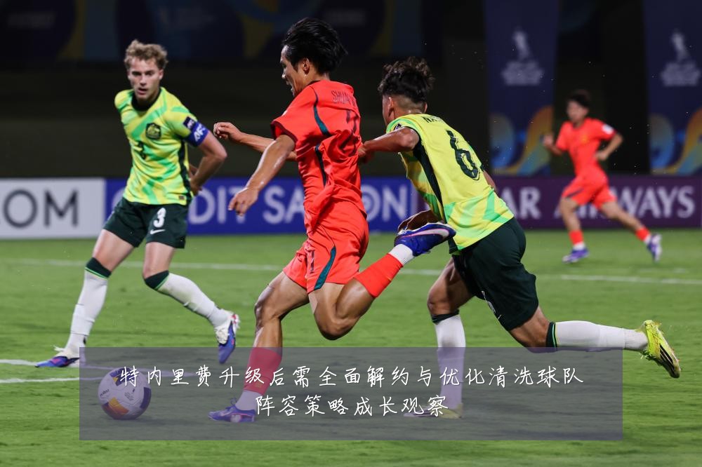 特内里费升级后需全面解约与优化清洗球队阵容策略成长观察