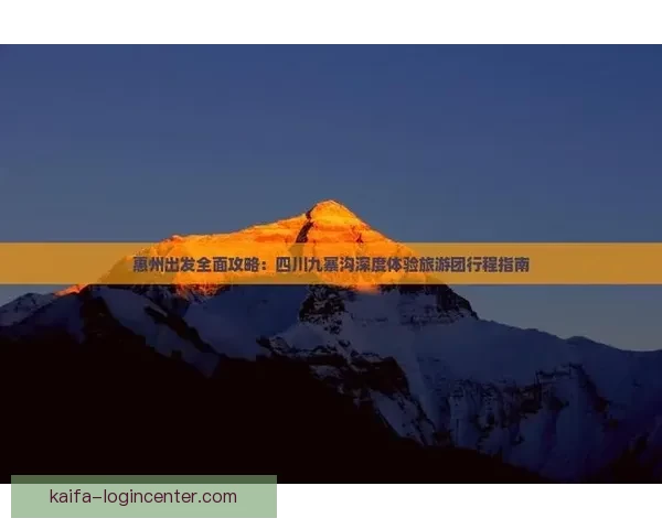 世界杯精彩赛事预测与投注攻略全面指南分享